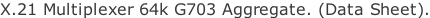 X.21 Multiplexer 64k G703 Aggregate. (Data Sheet).